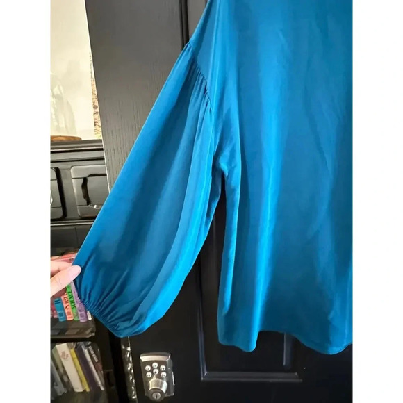 Sundance Blue V-Neck Frill Detail Silk Ruffle Blouse Size L - Picture 4 of 5